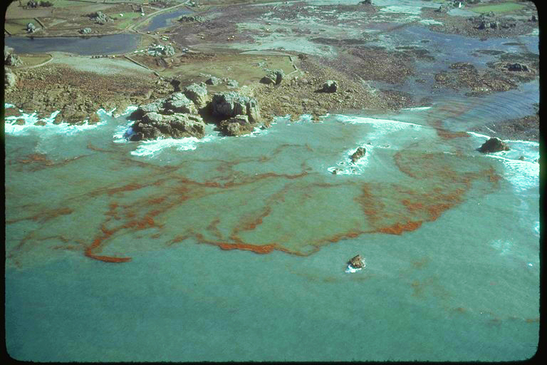 Amoco Cadiz, Oil Spill, Shipwreck, France, Brittany