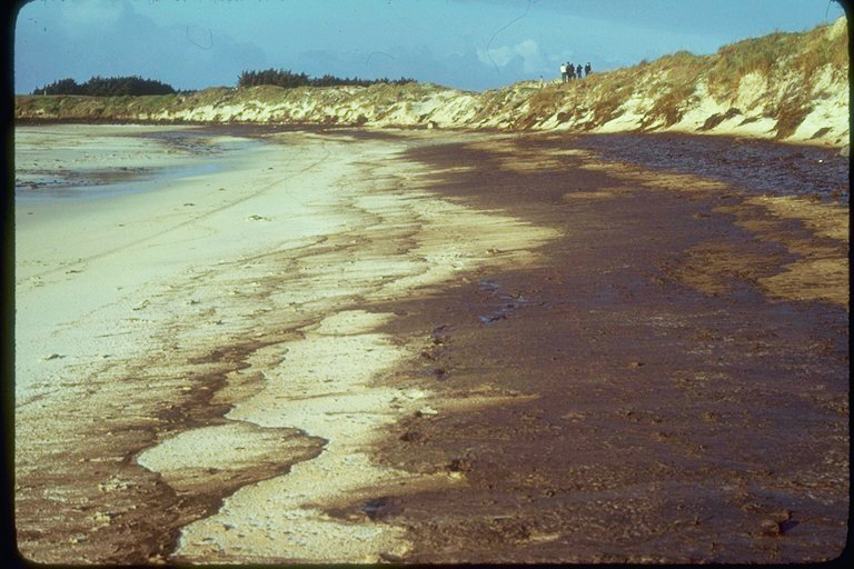 Amoco Cadiz, Oil Spill, Shipwreck, France, Brittany