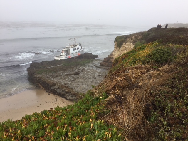 SHIPWRECKS AND SEA MONSTERS / California / Bay of Monterey