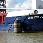 Baltic Fin