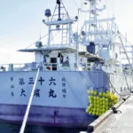 Ohama Maru No 8