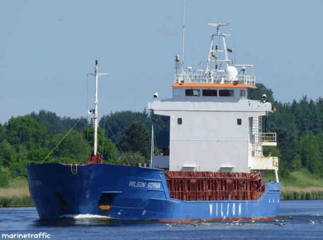 Wilson Gdynia