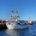 Maid of Amsterdam