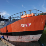 Pavlof